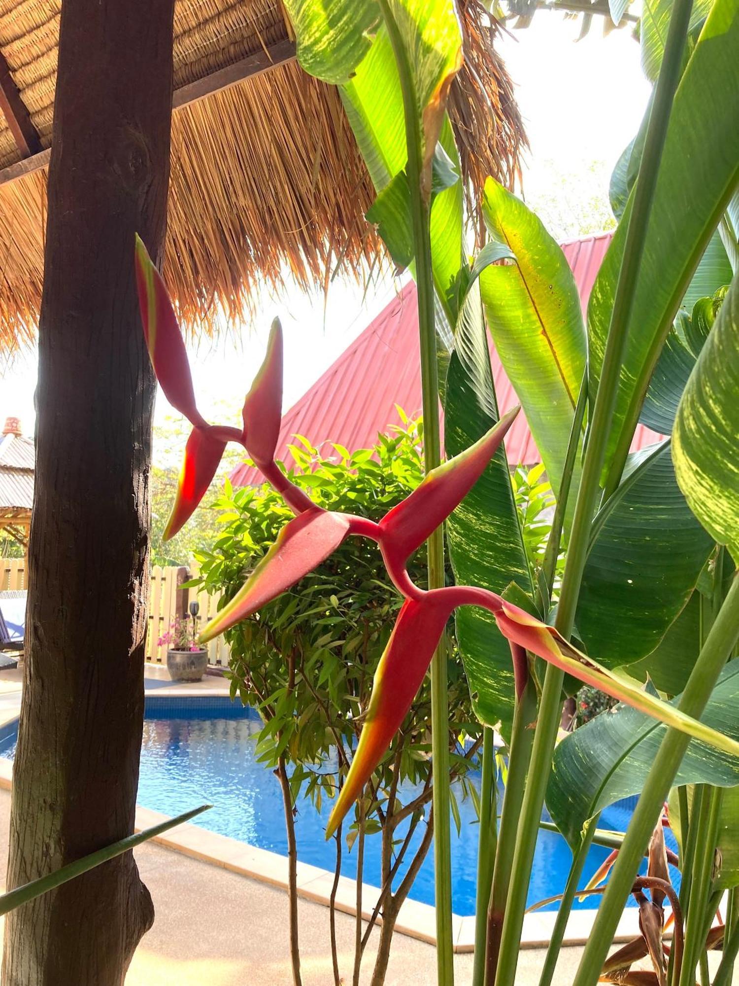 Villa Ayutthaya At Kantiang Bay Koh Lanta Ngoại thất bức ảnh